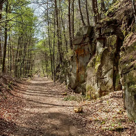 Waldeslust Vakantiehuis Beaufort