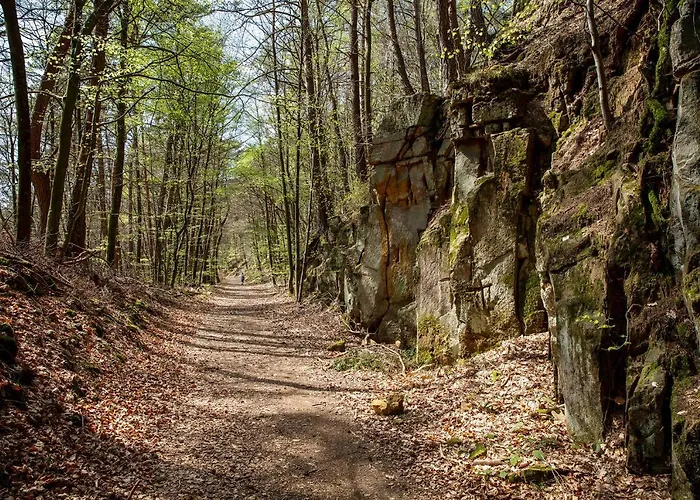 Waldeslust Сasa de vacaciones Beaufort