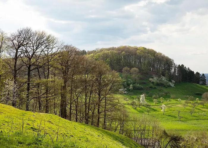 Waldeslust * بوفورت